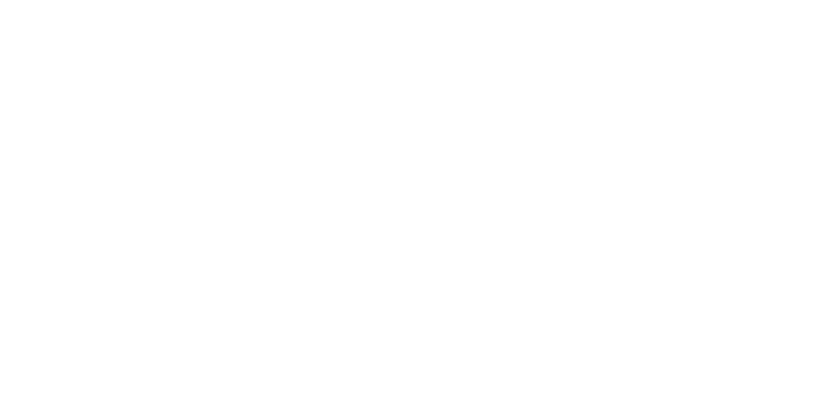 Billyanair logo 2012 white