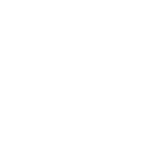 Billyanair logo 2012 white square